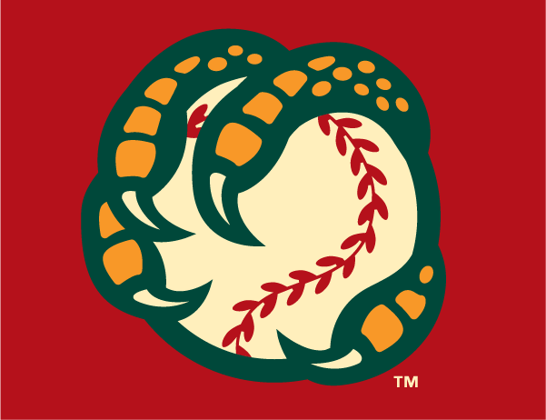 Boise Hawks 2007-Pres Cap Logo vinyl decal